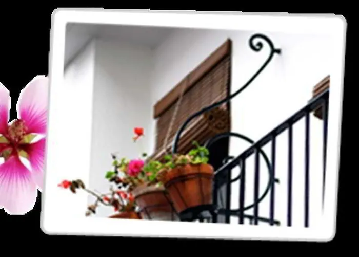 Paco Pensjonat Marbella