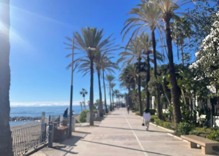 Paco * Marbella